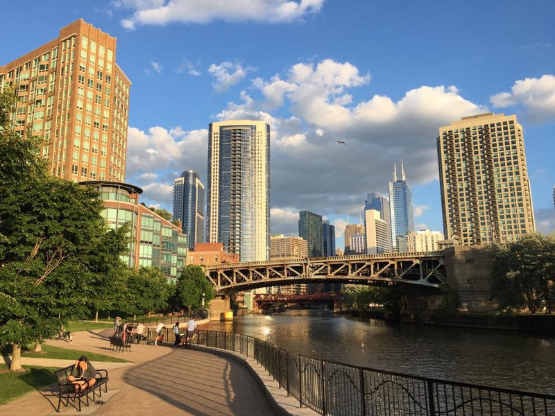 A. Montgomery Ward Park