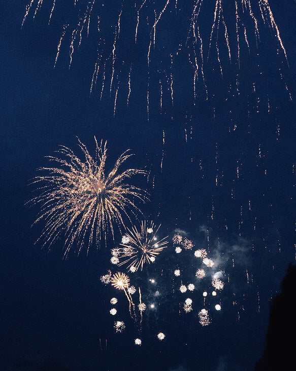 Chicago Water Taxi - Fireworks Tour